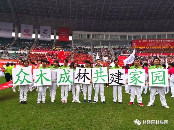 13.webp.jpg 13.webp.jpg