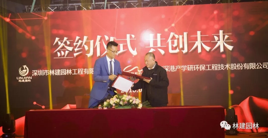 19.webp.jpg 19.webp.jpg