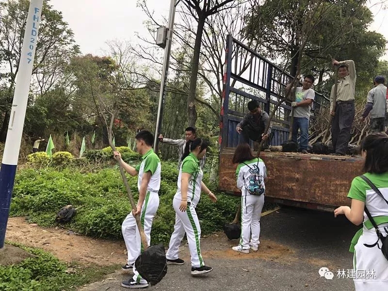 2.webp.jpg 2.webp.jpg