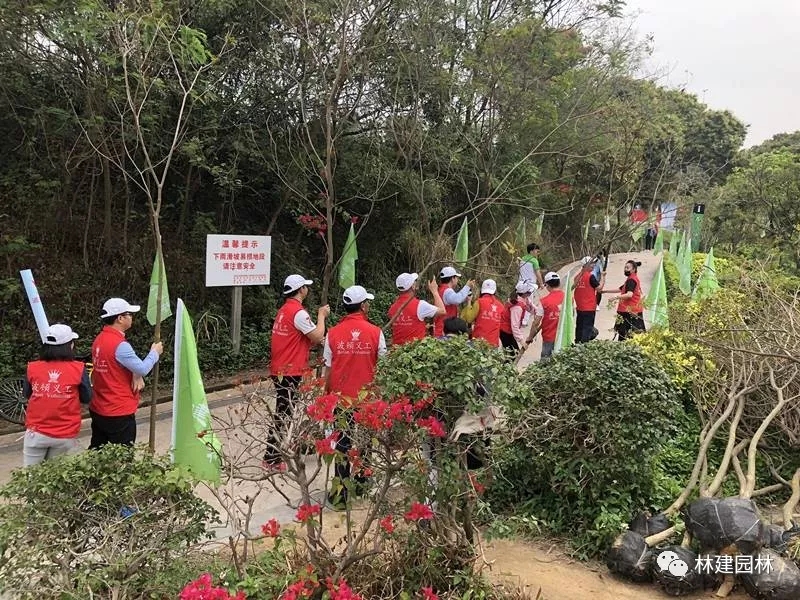 3.webp.jpg 3.webp.jpg