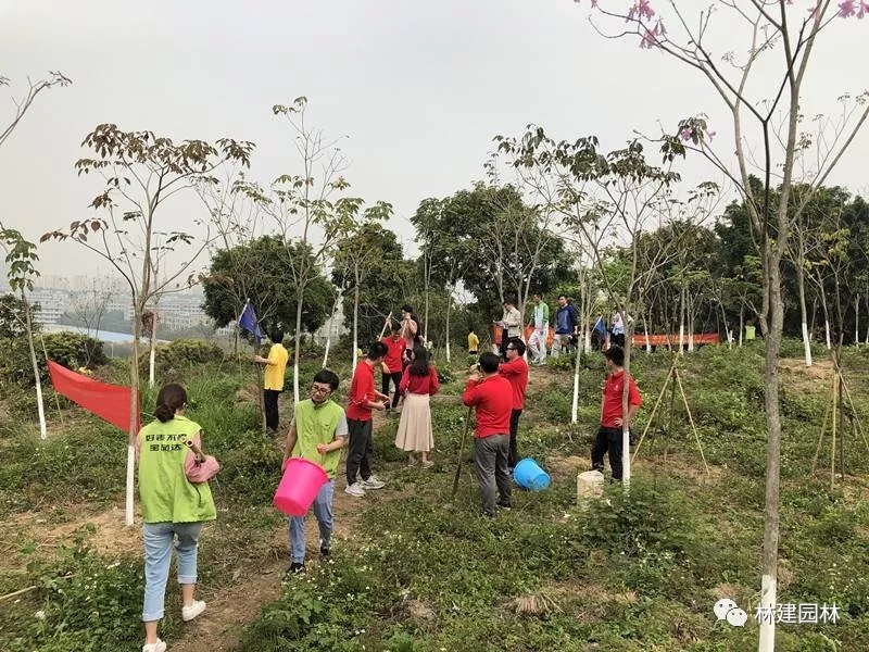 8.webp.jpg 8.webp.jpg