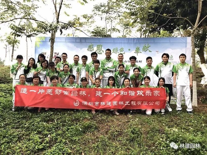 9.webp.jpg 9.webp.jpg